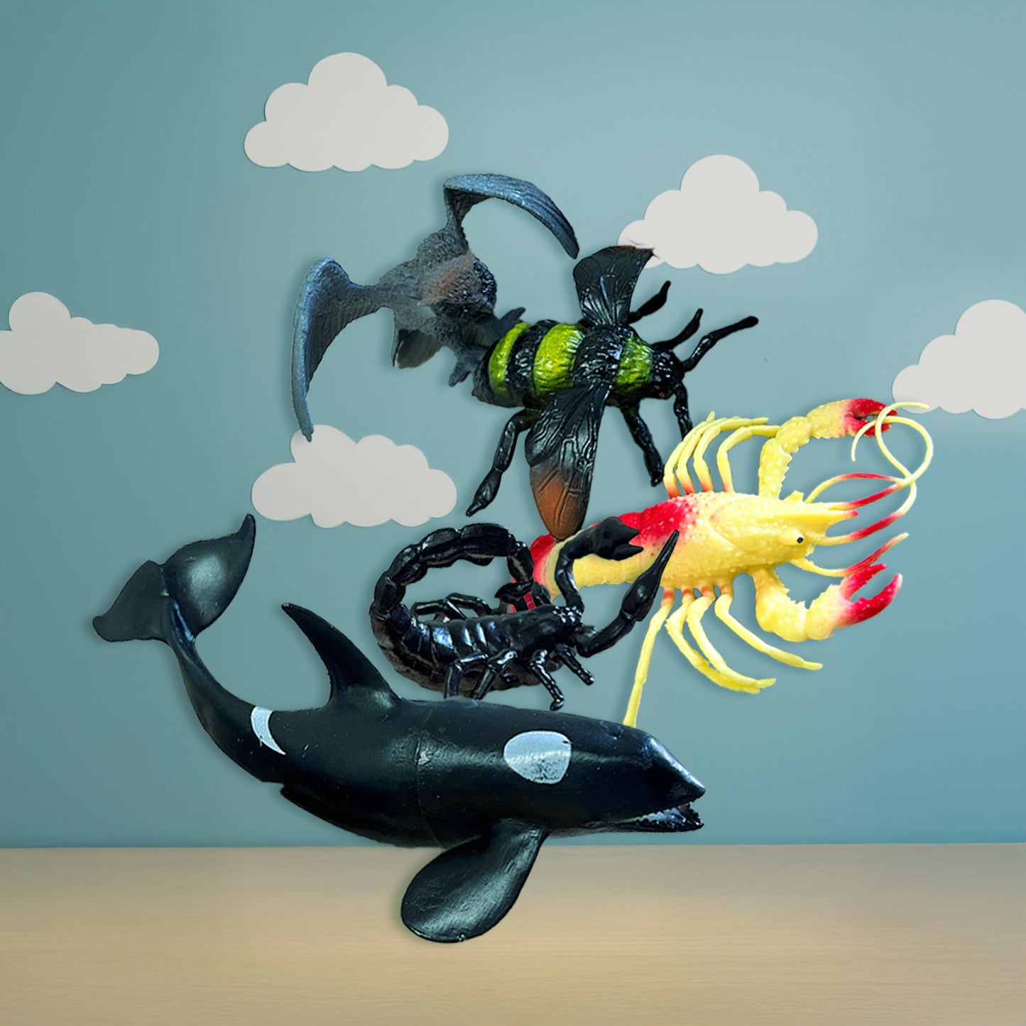 🐠 Set KOIHUE 1 (2-4 años)