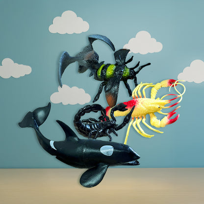 🐠 Set KOIHUE 1 (2-4 años)