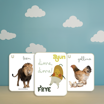 🎈 Set FOYE (12-24 meses)